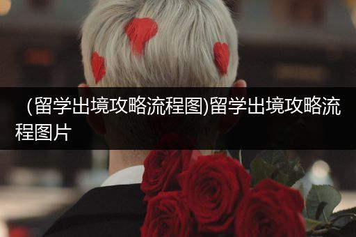 （留学出境攻略流程图)留学出境攻略流程图片
