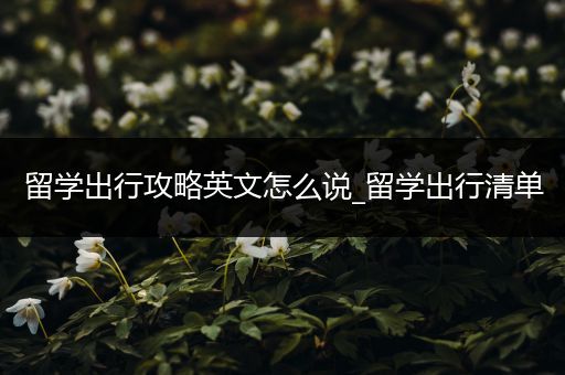 留学出行攻略英文怎么说_留学出行清单