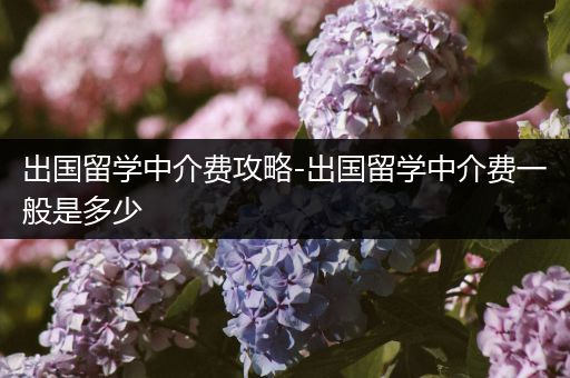 出国留学中介费攻略-出国留学中介费一般是多少