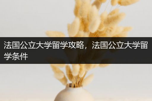 法国公立大学留学攻略，法国公立大学留学条件