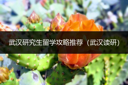 武汉研究生留学攻略推荐（武汉读研）