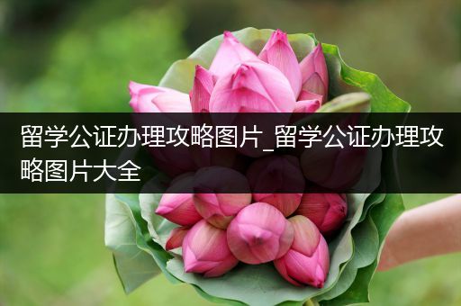 留学公证办理攻略图片_留学公证办理攻略图片大全