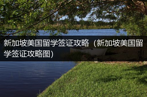 新加坡美国留学签证攻略（新加坡美国留学签证攻略图）