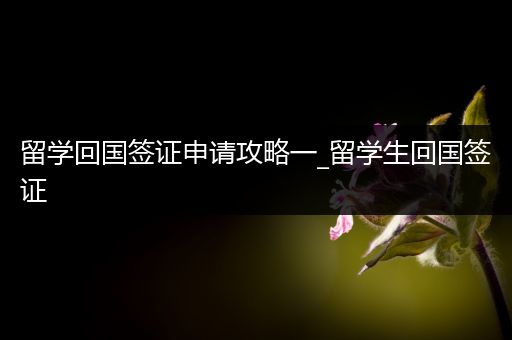 留学回国签证申请攻略一_留学生回国签证