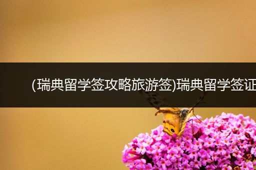 （瑞典留学签攻略旅游签)瑞典留学签证
