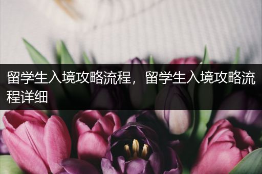 留学生入境攻略流程，留学生入境攻略流程详细