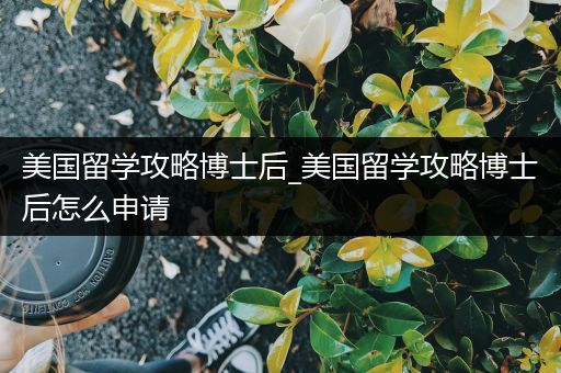 美国留学攻略博士后_美国留学攻略博士后怎么申请
