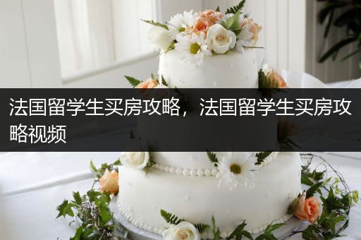法国留学生买房攻略，法国留学生买房攻略视频