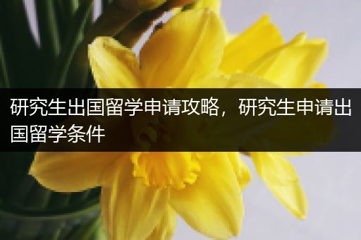 研究生出国留学申请攻略，研究生申请出国留学条件