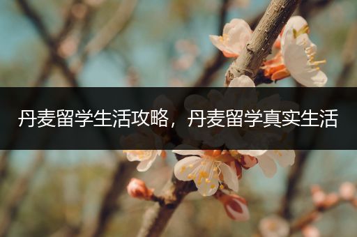 丹麦留学生活攻略，丹麦留学真实生活