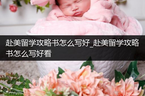 赴美留学攻略书怎么写好_赴美留学攻略书怎么写好看