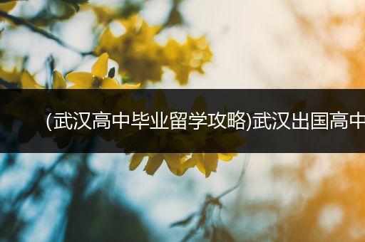 （武汉高中毕业留学攻略)武汉出国高中