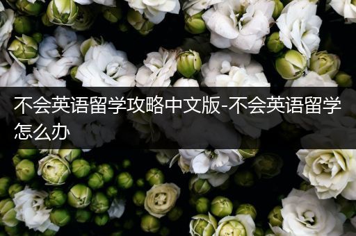 不会英语留学攻略中文版-不会英语留学怎么办