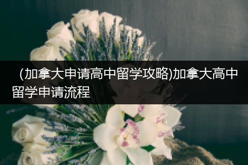 （加拿大申请高中留学攻略)加拿大高中留学申请流程