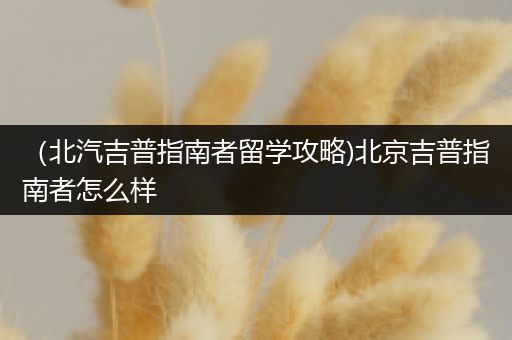 （北汽吉普指南者留学攻略)北京吉普指南者怎么样