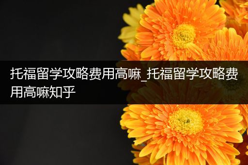 托福留学攻略费用高嘛_托福留学攻略费用高嘛知乎