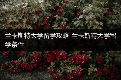 兰卡斯特大学留学攻略-兰卡斯特大学留学条件