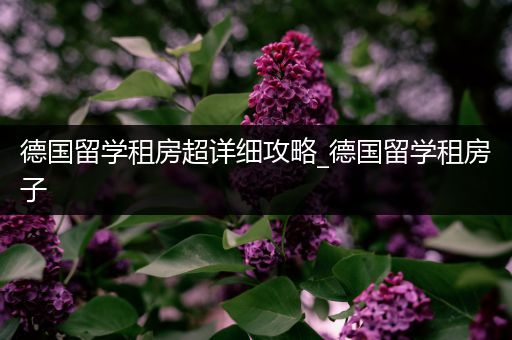 德国留学租房超详细攻略_德国留学租房子