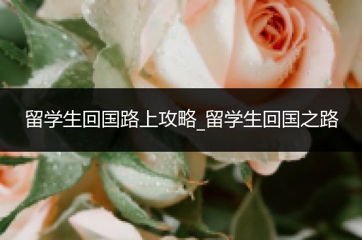 留学生回国路上攻略_留学生回国之路