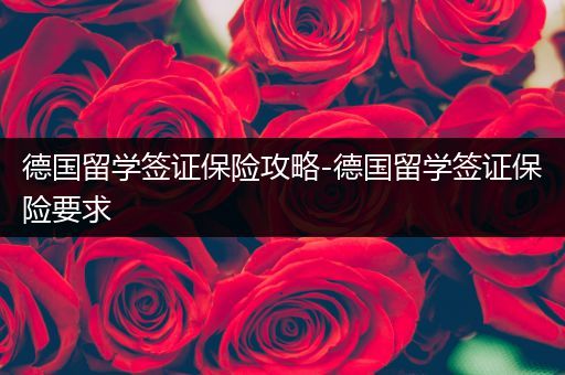 德国留学签证保险攻略-德国留学签证保险要求