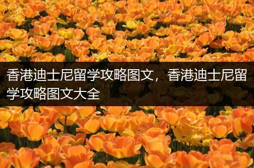 香港迪士尼留学攻略图文，香港迪士尼留学攻略图文大全