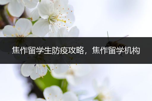 焦作留学生防疫攻略，焦作留学机构