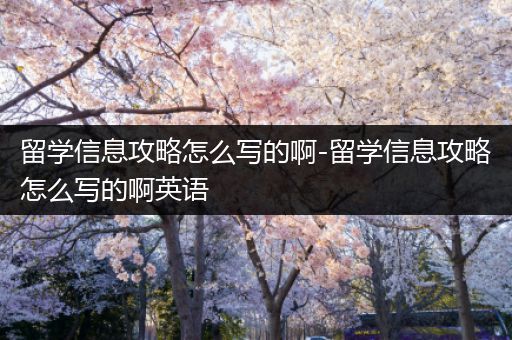 留学信息攻略怎么写的啊-留学信息攻略怎么写的啊英语