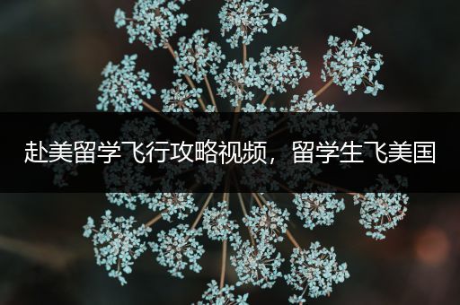 赴美留学飞行攻略视频，留学生飞美国