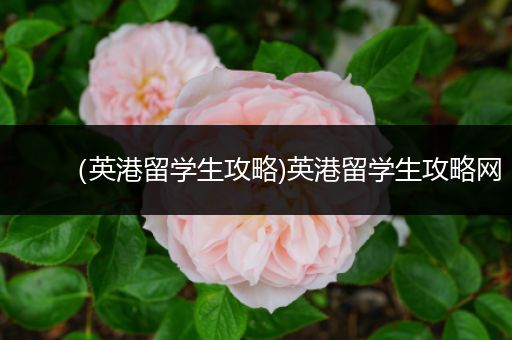 （英港留学生攻略)英港留学生攻略网