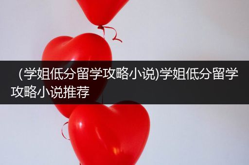 （学姐低分留学攻略小说)学姐低分留学攻略小说推荐