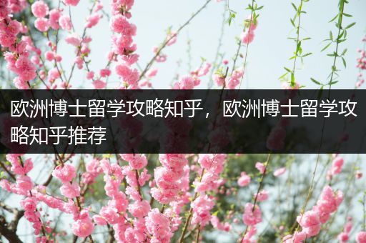 欧洲博士留学攻略知乎，欧洲博士留学攻略知乎推荐