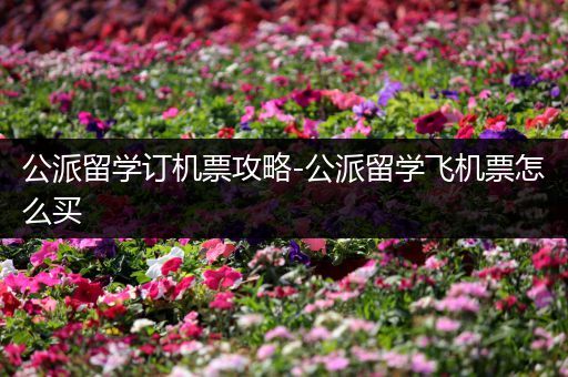 公派留学订机票攻略-公派留学飞机票怎么买