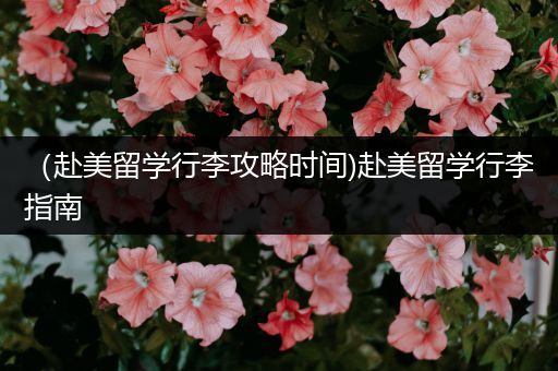 （赴美留学行李攻略时间)赴美留学行李指南