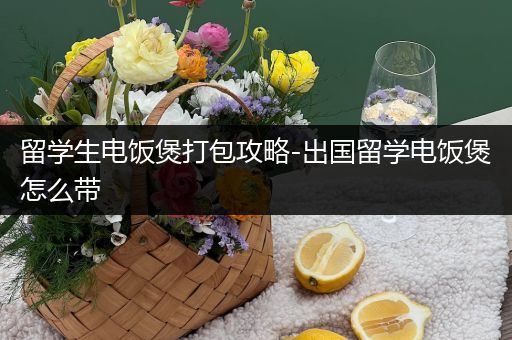 留学生电饭煲打包攻略-出国留学电饭煲怎么带