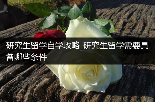 研究生留学自学攻略_研究生留学需要具备哪些条件
