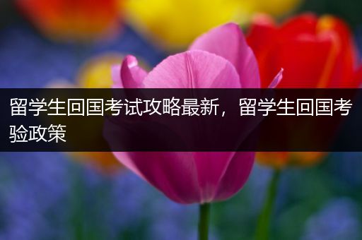 留学生回国考试攻略最新，留学生回国考验政策