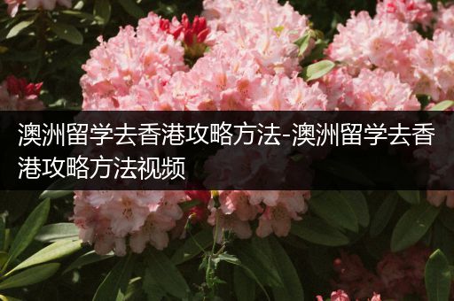 澳洲留学去香港攻略方法-澳洲留学去香港攻略方法视频