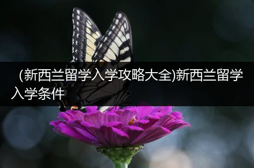 （新西兰留学入学攻略大全)新西兰留学入学条件