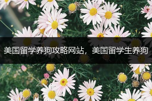美国留学养狗攻略网站，美国留学生养狗