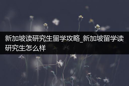 新加坡读研究生留学攻略_新加坡留学读研究生怎么样