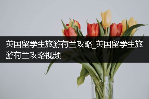 英国留学生旅游荷兰攻略_英国留学生旅游荷兰攻略视频
