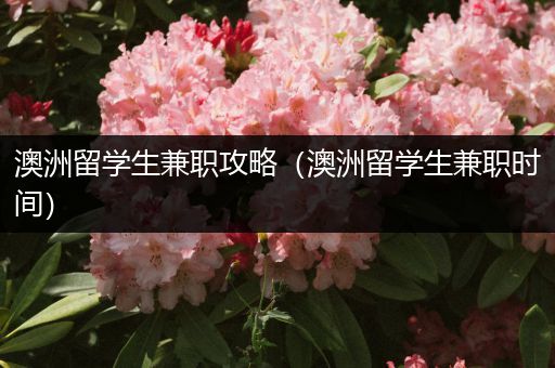 澳洲留学生兼职攻略（澳洲留学生兼职时间）