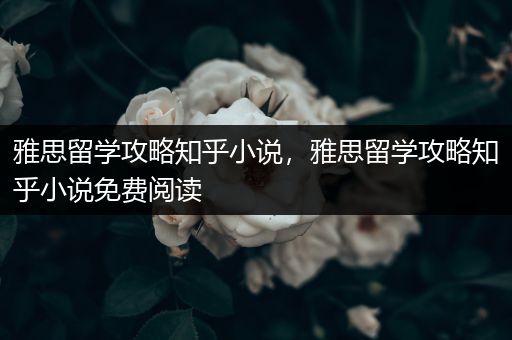 雅思留学攻略知乎小说，雅思留学攻略知乎小说免费阅读
