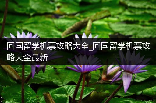 回国留学机票攻略大全_回国留学机票攻略大全最新