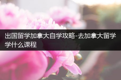 出国留学加拿大自学攻略-去加拿大留学学什么课程