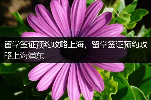 留学签证预约攻略上海，留学签证预约攻略上海浦东