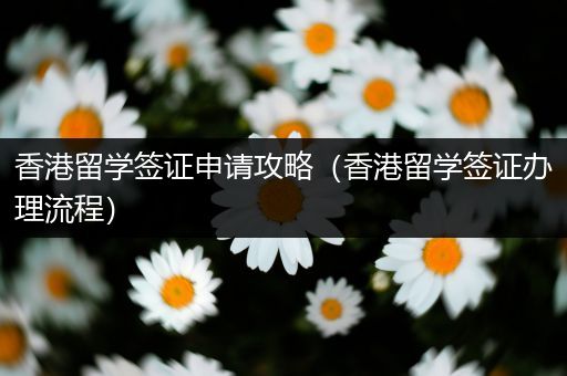 香港留学签证申请攻略（香港留学签证办理流程）