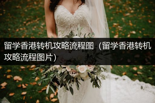 留学香港转机攻略流程图（留学香港转机攻略流程图片）
