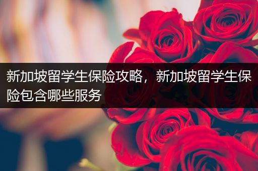 新加坡留学生保险攻略，新加坡留学生保险包含哪些服务