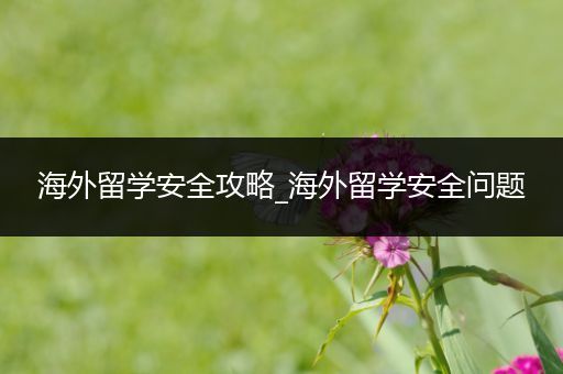 海外留学安全攻略_海外留学安全问题